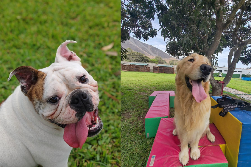 Entrenamiento al aire libre